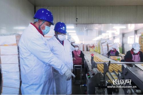 暖心服務助力扶貧微工廠——石家莊供電公司數字化服務實踐