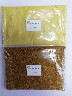 從田野到藥典 玉米花粉、破壁玉米花粉與高粱花粉的植物提取物研發(fā)新視角